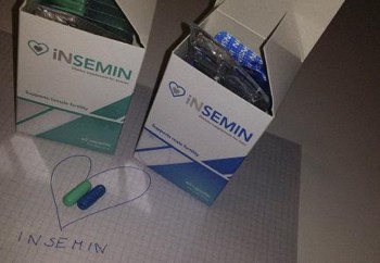 insemin